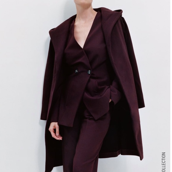 Zara Jackets & Blazers - Zara Hooded Coat